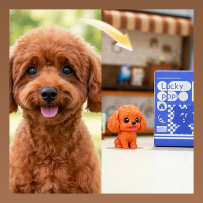 Real-life puppy next to a small orange plush toy with a packaging box labeled 'Lucky Poppy'.