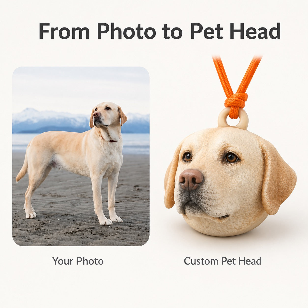 DoDoWish Personalized 3D Pet Portrait Aroma Keepsake