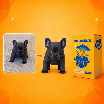 DoDoWish Custom Mini Me Figurine