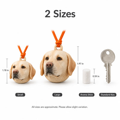 DoDoWish Personalized 3D Pet Portrait Aroma Keepsake