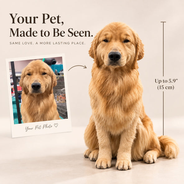 Illustration of a large custom golden retriever figurine created from a pet photo